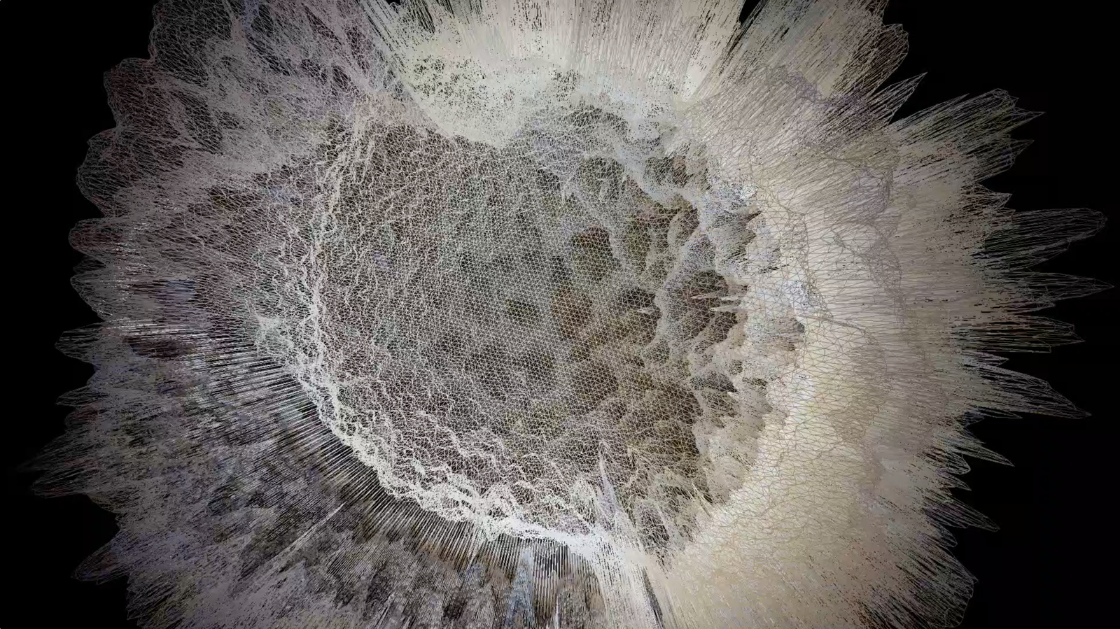 TRANXENOBOTS_Iury Lech 1